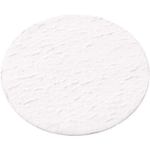 Glass Fiber Filter Disk