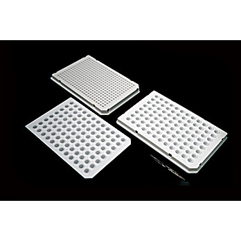 0.1ml 96 Well PCR Plate, Full Skirt, Clear, H1 notch, 25/pk, 100/cs
