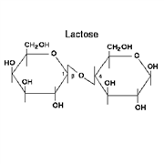 Lactose Broth Granulated