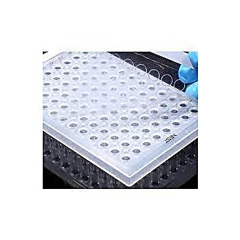 PCR sealing film, heat sealing, 141 x 78 mm, 100/pk, 500/cs