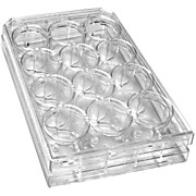 TC Treated 12-Well Plate W/Lid