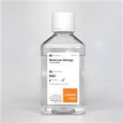 Molecular Biology Grade, USP Sterile Purified Water DNase-, RNase- and Protease -free