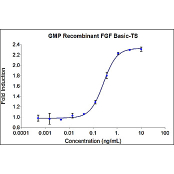 HumanKine® recombinant human FGFbasic-TS protein, GMP grade