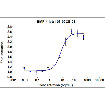 HumanKine® Recombinant Human BMP-4 Protein, GMP Grade