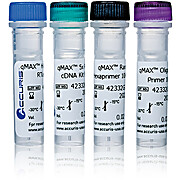 Accuris™ qMAX™ First Strand cDNA Synthesis Flex Kit