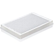 Rigid Frame 384-Well PCR Plates