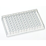 384 WELL PLATE, SQUAREU