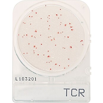 CompactDry™ Total Count Rapid (TCR) for Aerobic Colony Counts