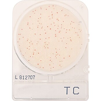 CompactDry™ Total Bacterial Plate Count (TC)