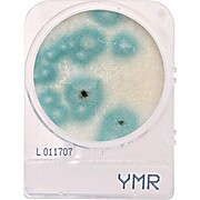 CompactDry™ Yeast/Mold Rapid (YMR) for Colony Counts