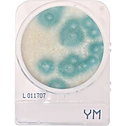 CompactDry™ Yeast/Mold (YM)
