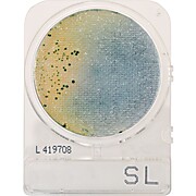 CompactDry™ Salmonella (SL), Mini Plates for Colony Counts