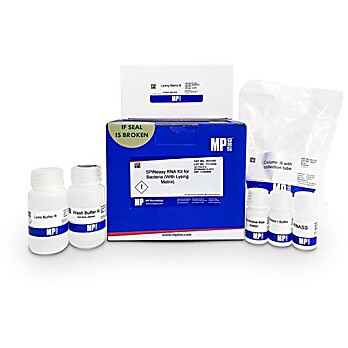 SPINeasy® RNA Kit for Bacteria