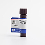 Fluorescent Protein Marker