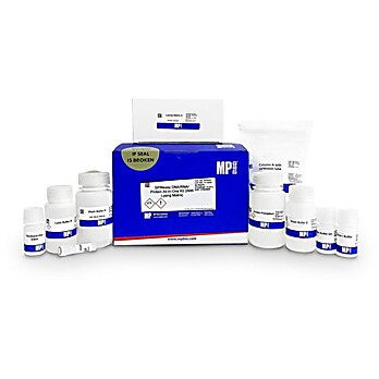 SPINeasy® DNA/RNA/Protein All-In-One Kit