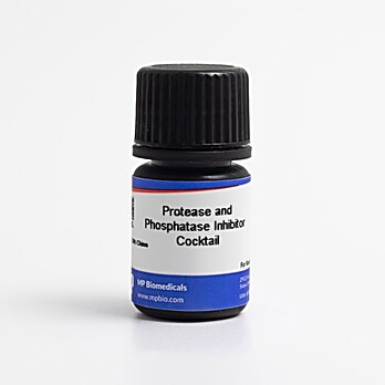 Protease and Phosphatase Inhibitor Cocktail