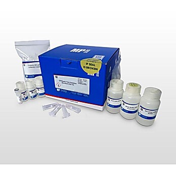 SPINeasy® Host Depletion Microbial DNA Kit