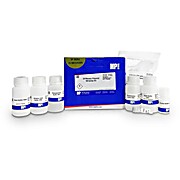 SPINeasy® Plasmid Miniprep Kit