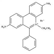 OmniPur® Ethidium Bromide, 10 mg/ml Solution