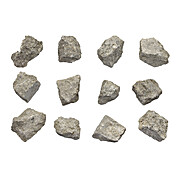 Fossiliferous Limestone, Raw Sedimentary Rock Specimens, Approx. 1", PK12