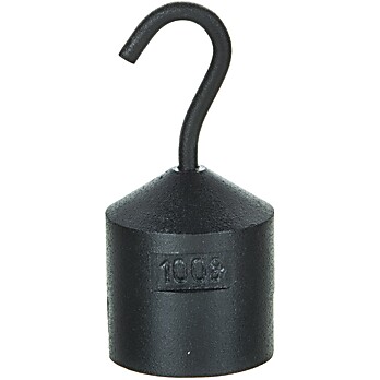 Hooked Iron Weight with Bottom Slot, 100g