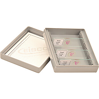 Slide Box, Polystyrene, Holds 25 Slides