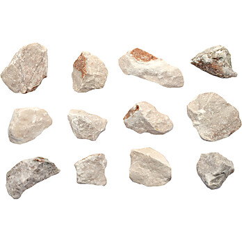 Gypsum, Raw Mineral Specimens, Approx. 1", PK12