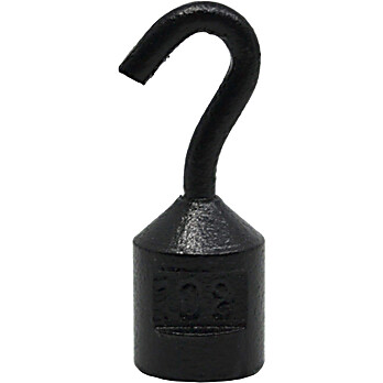 Hooked Iron Weight with Bottom Slot, 10g