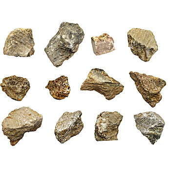 Talc, Raw Mineral Specimens, Approx. 1", PK12