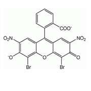 Eosin - Phloxine