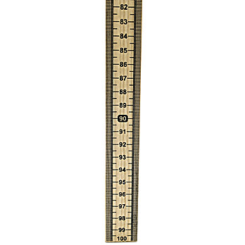 Meter Stick, Wood, Vertical Scale