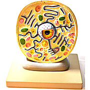 Plant Cell Model
