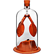 Lung Function Demonstration Model