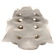 Sacrum Bone Model
