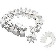 Disarticulated Human Spine Model, 47 Parts