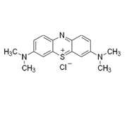Methylene Blue, Loeffler