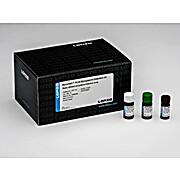 MYCOALERT Detection Kit - 25 tests
