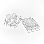 6-Well Microplates