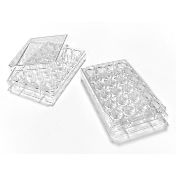 Tc Treated 24-well Microplates