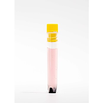 AlteTube™ 2D Barcoded Tubes, Internal, 1.4mL