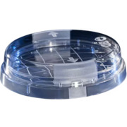 BD BBL™ Hektoen Enteric Agar Plate