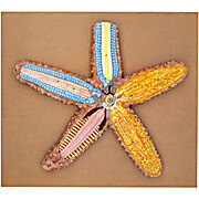 Star Fish Model