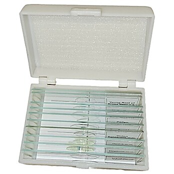 Prepared Microscope Slide Animal Set 10 slides