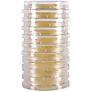 LokTight™ Sabouraud Dextrose Agar (SabDex) w/Lecithin & Tween 80