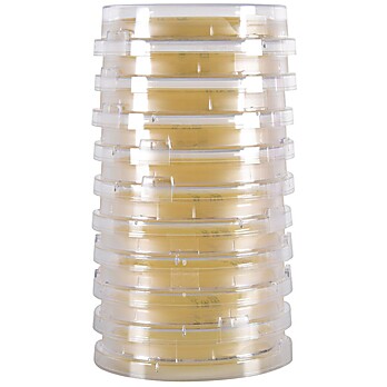 LokTight™ Sabouraud Dextrose Agar (SabDex) w/Lecithin & Tween 80