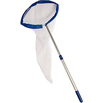 Insect and Butterfly Net with Extension Handle