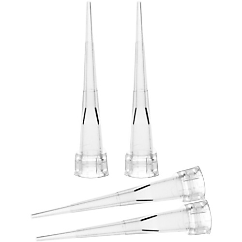 Micropipette Tips