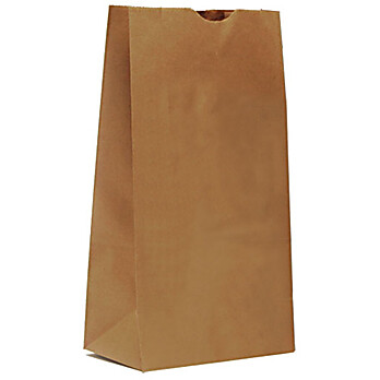 Plain Paper Evidence Bags