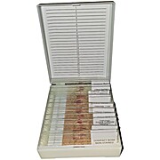 Microscope Biology Slide Set 14