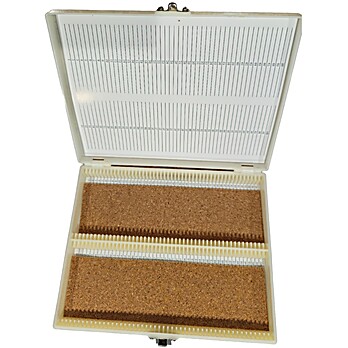 Microscope Slide Box Plastic, Holds 100 Slides